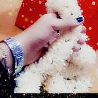 صنعانيه محتاجه (@oinhqjmlx2qydoh) Twitter profile photo