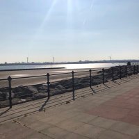 Julie Kay (@oldiesvoice) 's Twitter Profile