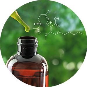 CBD Health is a portal website that will feature a variety of the finest CBD products from reputable US, Canadian and Mexican producers.