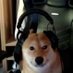 :pogchamp: (@paulchungy) Twitter profile photo :pogchamp: (@paulchungy) Twitter profile photo