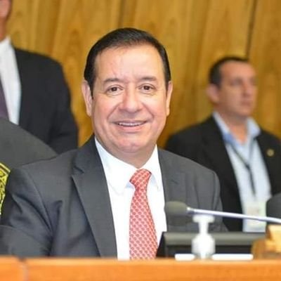 exIntendente Municipal por 2 periodos de la ciudad de Sapucai, Ex Gobernador IX dpto. Paraguari, Miembro de la Junta de Gobierno,Diputado Nacional 2018/2023