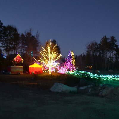 rootsjockey's profile picture. 