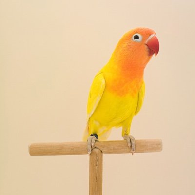 neorb's profile picture. Born in the midwest, moved to the west. Crossed the ocean and just kept going.