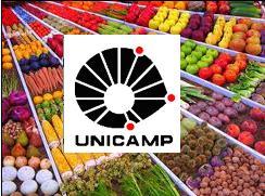 Vegunicamp's profile picture. Perfil criado para interagir com VEGetariANOS da Unicamp, divulgando eventos como a Semana Vegetarina ou mostrando notícias relacionadas com o tema.