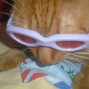 Thomas Linke - @damienthorne666 - Twitter