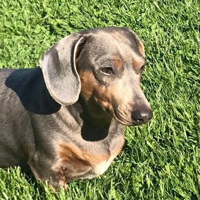 AngelaBeddow2's profile picture. 