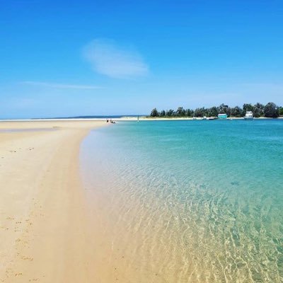 amalvt's profile picture. Community Nutrition,PhD. “ I would rather have a mind opened by wonder than one closed by belief” Virginia Tech 2016 alumni (Go Hokie)