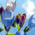 AnnaZachrisson's profile picture. ACIM, The Law of Attraction, Napoleon Hill, personal growth, EFT/TFT, yoga/meditation. Also a graphic designer