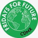 Movimiento de Fridays for Future en Ciudad de México basado en las acciones