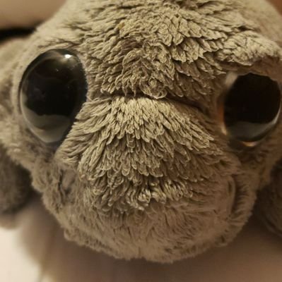 robotexHB's profile picture. 