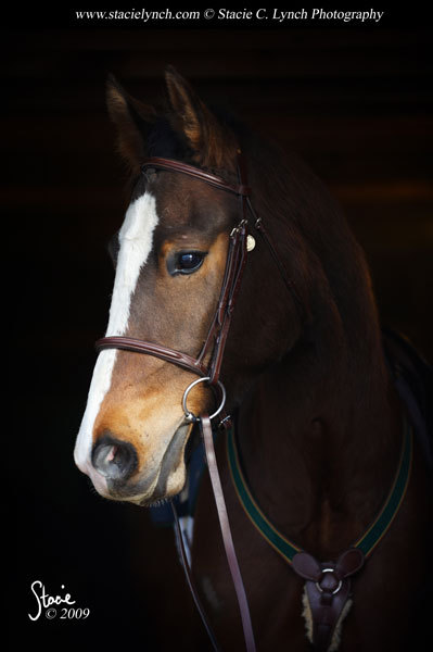 smclynch's profile picture. 