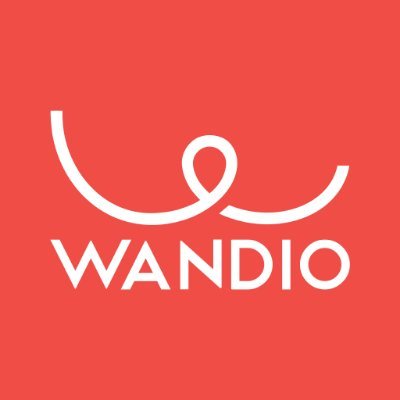 Wandio_com's profile picture. We are the wizards of custom software development, working on large and medium scale web and mobile systems globally.