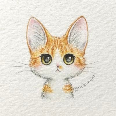 天猫🌿📖φ(．．)さんのプロフィール画像