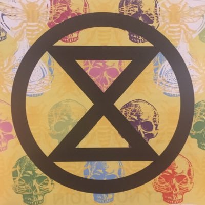 Local Extinction Rebellion group based in south Manchester. Meeting every other Wednesday - follow for more information