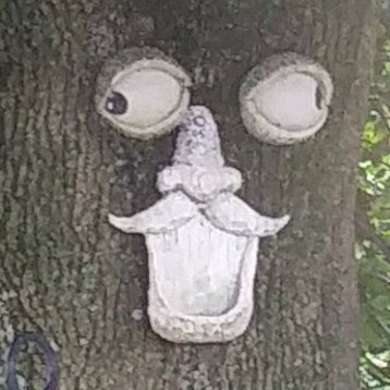 Mrderpie1234518's profile picture. just a guy who does dude things