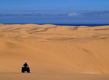 flyingsafaris's profile picture. Fly - In Safaris Namibia