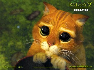 Tarourupin3's profile picture. 