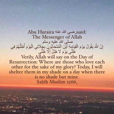 Um_Umar1's profile picture. 