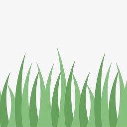 kusa1000's profile picture. 草の名は 知らず珍し 花の咲く。見かけた草花を投稿。おもに食べられるかどうかを記録しています。