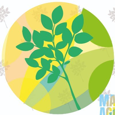 #Agriculture #inputs #intrants
#SUNUMBAY
Fournisseur d'intrants agricoles
Saint Louis/ Sénégal