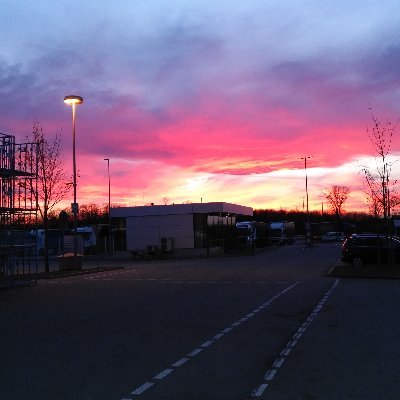 mTSara4's profile picture. 