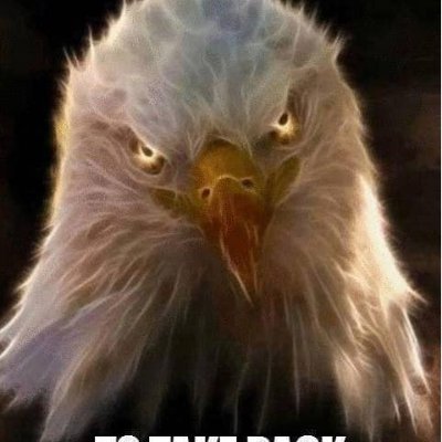 Trump Supporter, Military Family, Freedom Lover, wife of a Veteran, Gun supporter, believe in the Constitution, will give my life for my country and freedom.