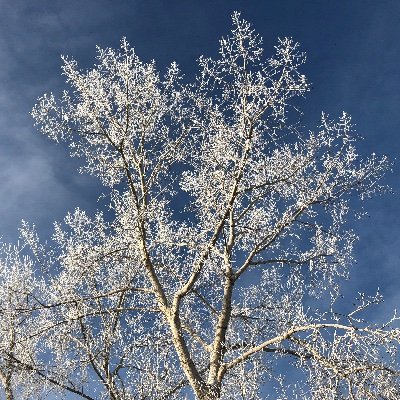 u3o8th's profile picture. 