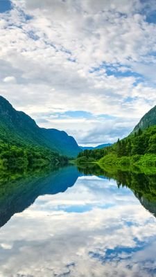 LiviaScorsone's profile picture. e-mobility curious