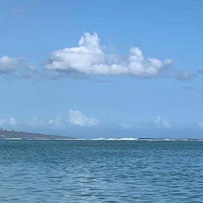 testcv351's profile picture. 