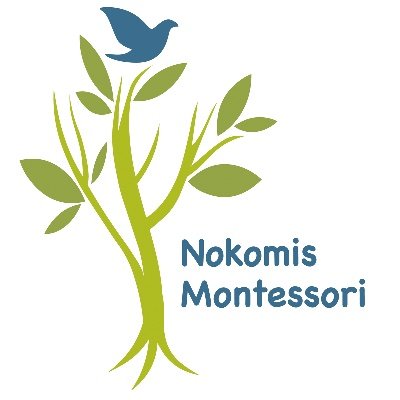 At Nokomis Montessori South, students learn at their own pace in multi-grade classrooms, independently cultivating their interests and natural abilities.
