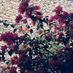 CT (@analogboxphotos) Twitter profile photo CT (@analogboxphotos) Twitter profile photo