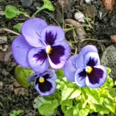 bunts0953's profile picture. 