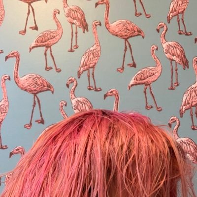 laurahc's profile picture. Pinto + diseño + bailo