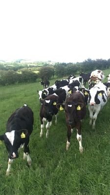 jroevet's profile picture. Veterinarian with interest in Food Safety.