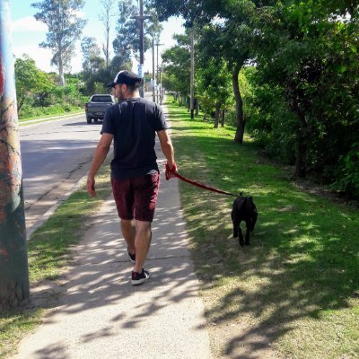 Vendedor y Atención al publico en Forrajeria el Cencerro, Auxiliar contable y Administrativo, Reparador y Mantenimiento de PC..
Snap: luismuru