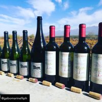 Enrique Sack (@enriquesack) 's Twitter Profile Photo