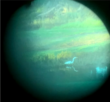 andy21806265's profile picture. 