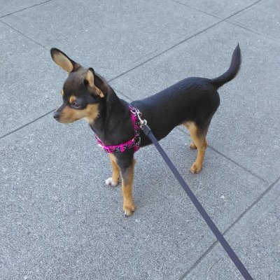 seacapri19's profile picture. 