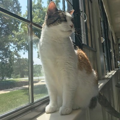 FirstCatofKS Profile Picture