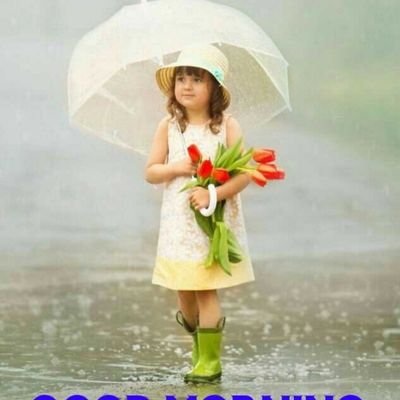 sailaja68411561's profile picture. 