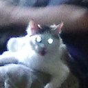 Forest Walker - @ForestsWalker - Twitter