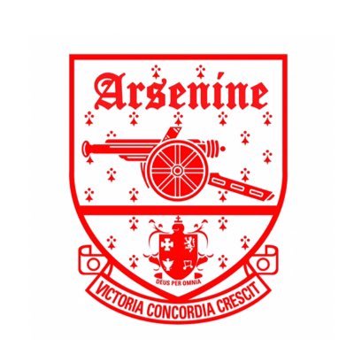 Michigooner. Arsenine opinions on Arsenal and USMNT - USWNT #COYG