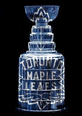 There is absolutely no logical reason to be a Leafs fan; but the heart wants what the heart wants...