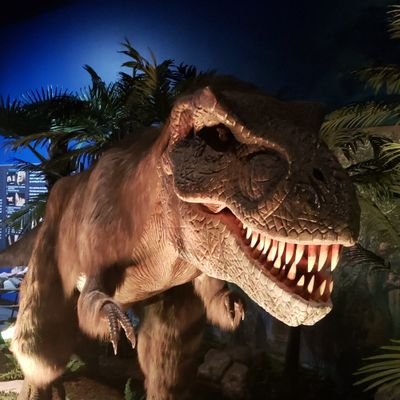 MelissaSolor87's profile picture. I just love me some love🥰