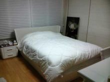 be_leen's profile picture. 熊谷高校音楽部59期部長 受験エンジョイ勢() @BarackObama←規制垢 
@DalaiLama ←規制垢2