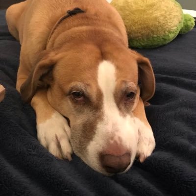 klingedp's profile picture.