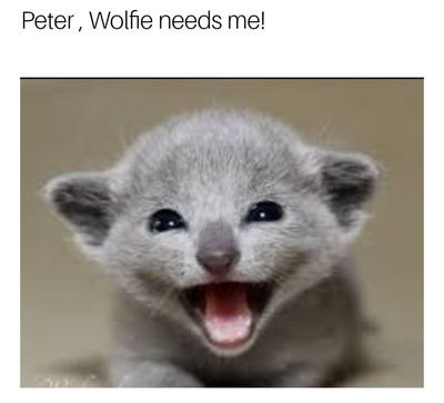 conniew92434333's profile picture. 