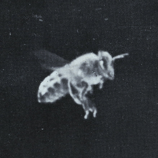 itslaundrynight's profile picture. oh yea, you know what night it is...