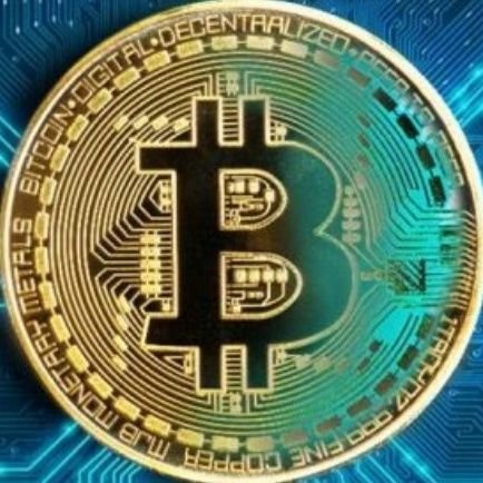 winniethebch's profile picture. 