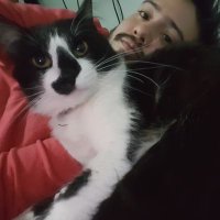 Misio (@_cgonza) 's Twitter Profile